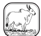 aries